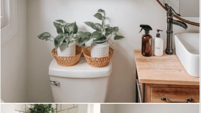 Membuat Bathroom Anda Lebih Indah dengan Dekorasi Tanaman