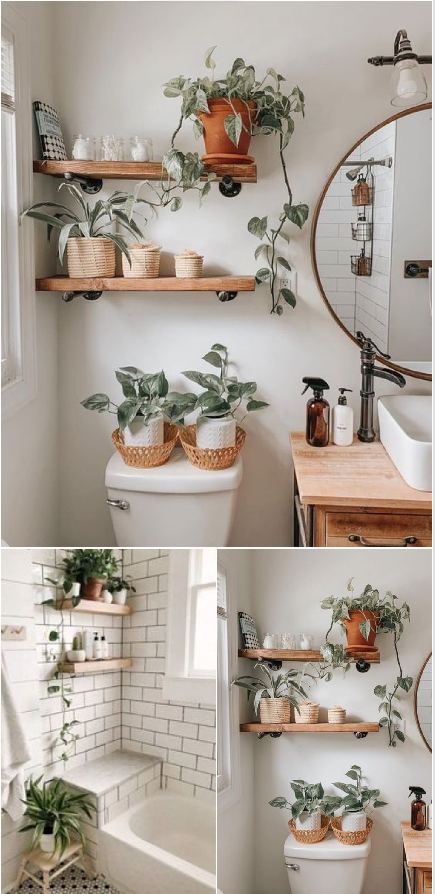 Membuat Bathroom Anda Lebih Indah dengan Dekorasi Tanaman 1